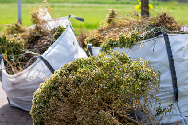 Best Junk Removal Near Me  in Panora, IA