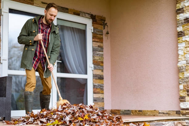 Trusted Panora, IA Junk Removal Experts